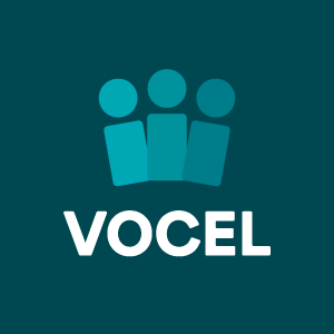 An Evening for Play: VOCEL 2026 Benefit Dinner - logo